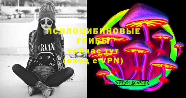 ешки Михайловск