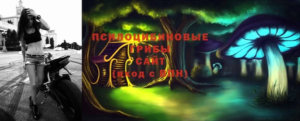 ешки Михайловск